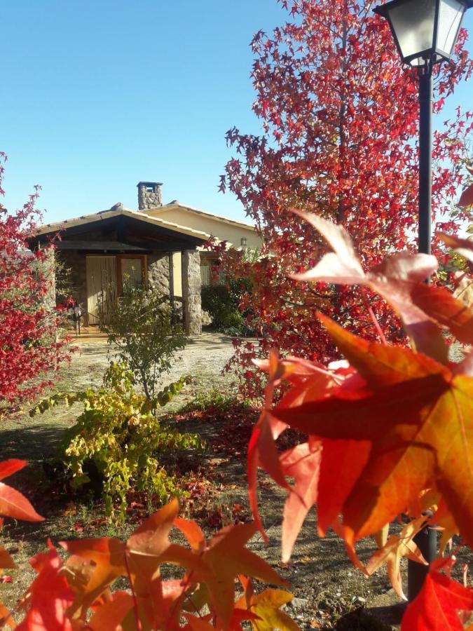 Casa Rural Amarilla Ávila Kültér fotó